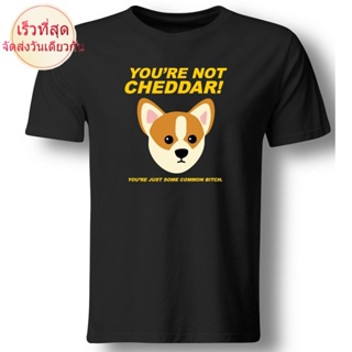 เสื้อยืด ผ้าฝ้าย พิมพ์ลาย Youre Not Cheddar Youre Just some common Nine Nine Brooklyn 99 สําหรับผู้ชาย B35SDF