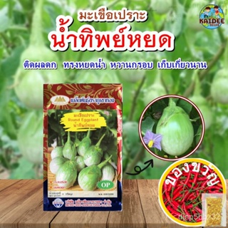 เมล็ดมะเขือเปราะน้ำทิพย์หยด Roung Eggplant เมล็ดมะเขือเปราะ เมล็ดพันธุ์มะเขือเปราะ มะเขือเปราะ เมล็ดมะเขือหยดน้ำ ตราภูเข