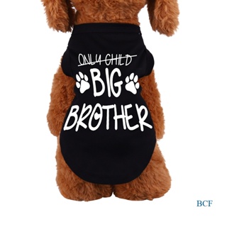 เสื้อยืด พิมพ์ลายการ์ตูน BCF Big Brother สําหรับสัตว์เลี้ยง สุนัข แมว