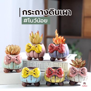 กระถางดินเผาโบว์น้อย กระถางแคคตัส กระถางกระบองเพชร ไม้อวบน้ำ cactus&amp;succulent