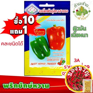 เมล็ดอวบอ้วน100%[10แถม1] 3A เมล็ดพันธุ์  พริกยักษ์หวาน พริกหวาน 70 เมล็ด ผิวมัน เนื้อหนา  เมล็ดพันธุ์สามเอ SWEET PEPPER