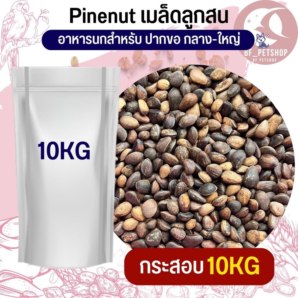 ถั่วไพน์นัท-pine-nut-pea-อาหารนก-กระต่าย-หนู-กระต่าย-กระรอก-ชูก้า-และสัตว์ฟันแทะ-สินค้าใหม่ทุกกระสอบ-กระสอบ-10kg