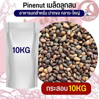 ถั่วไพน์นัท Pine Nut Pea อาหารนก กระต่าย หนู กระต่าย กระรอก ชูก้า และสัตว์ฟันแทะ สินค้าใหม่ทุกกระสอบ (กระสอบ 10KG)