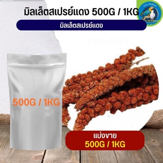 ภาพหน้าปกสินค้ามิลเลตสเปรย์แดง (พวง) ช่อมิลเล็ตสเปรย์แดง (แบ่งขาย 500G / 1KG) ที่เกี่ยวข้อง