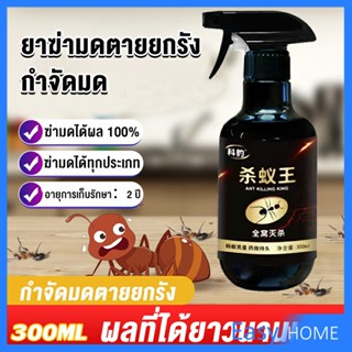 สเปย์กำจัดมด ยากำจัดมดภายในบ้าน กำจัดแมลง  Pest Control