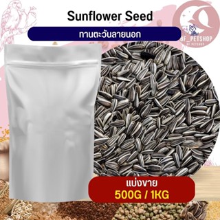 ทานตะวันลายนอก Strip SunFlower อาหารนก กระต่าย หนู กระรอก ชูก้า และสัตว์ฟันแทะ สินค้าสดใหม่ทุกชิ้น (แบ่งขาย 500G / 1KG)