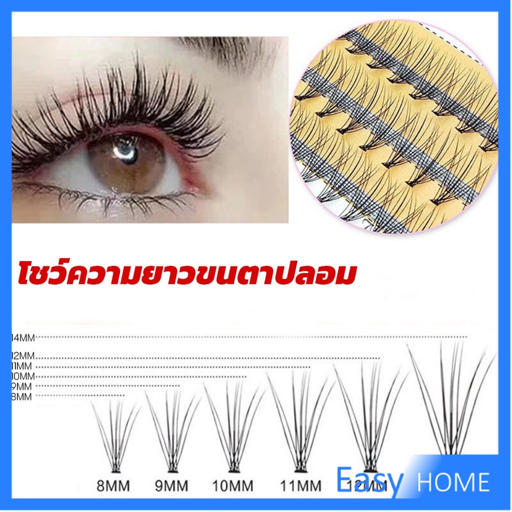 ช่อขนตาปลอมสไตล์ธรรมชาติ-10d-8-10-12-มม-false-eyelashes