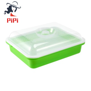 Sprouter Tray with Lid BPA Free Bean Sprout Grower Sprouting Seeds Tray, Dirt Free Way and Big Capacity