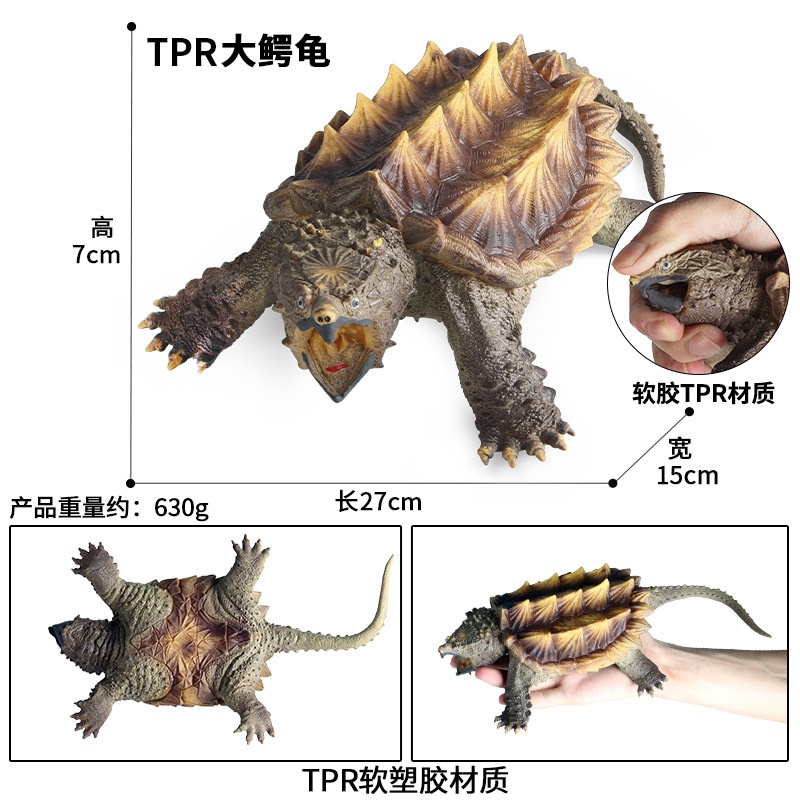 การขายด่วนในเวลาจำกัด-จำลองสัตว์น้ำจืดขนาดใหญ่เต่าจระเข้เต่าเต่าเด็กความรู้ความเข้าใจทางชีวภาพของเล่นตกแต่งเด็กของเล่นความรู้ความเข้าใจฉากตกแต่งตกแต่ง