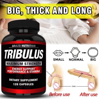 Tribulus Extract Powder - ตัวเพิ่มฮอร์โมนเพศชายและตัวบล็อกฮอร์โมนเอสโตรเจน - ผลิตในสหรัฐอเมริกา