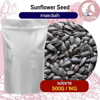 Black Sunflower ทานตะวันดำ 3เจ อาหารนก หนู กระต่าย กระรอก ชูก้า และสัตว์ฟันแทะ สินค้าสดใหม่ทุกชิ้น (แบ่งขาย 500G / 1KG)