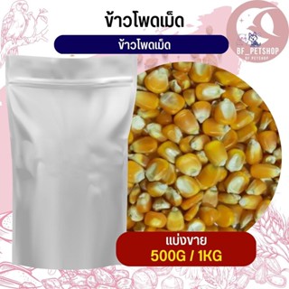 ข้าวโพดเม็ด corn kernels อาหารนก กระต่าย หนู กระต่าย กระรอก ชูก้าและสัตว์ฟันแทะ สินค้าสดใหม่ทุกชิ้น (แบ่งขาย 500G / 1KG)