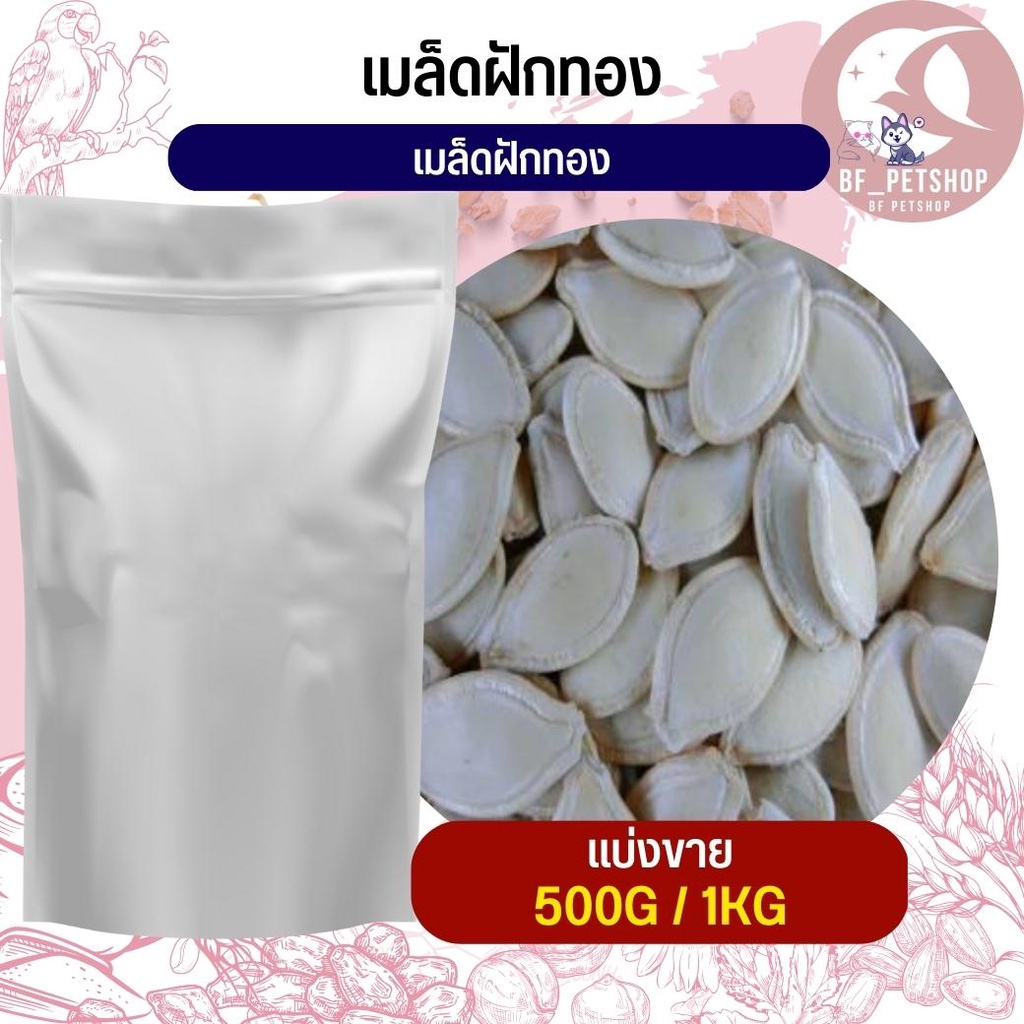 เมล็ดฟักทอง-pumpkin-seeds-อาหารนก-กระต่าย-หนู-กระรอก-ชูก้า-และสัตว์ฟันแทะ-สินค้าสดใหม่ทุกชิ้น-แบ่งขาย-500g-1kg