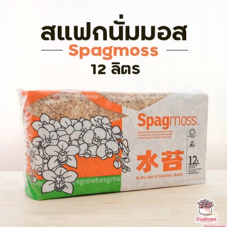 สแฟกนัมมอส Spagnum moss 12 ลิตร ( 150 กรัม )