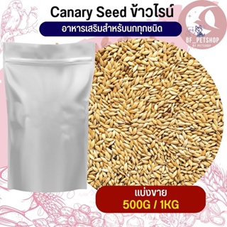 ข้าวไรย์ Canary seed อาหารสัตว์/อาหารนก (แบ่งขาย 500G /1KG)
