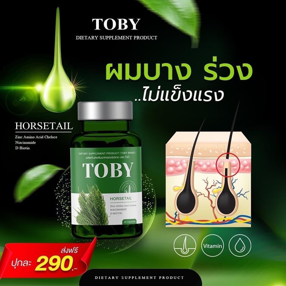 ภาพสินค้าส่งฟรีส่งไว วิตามินผมร่วงหญ้าหางม้า โทบี Toby Horsetail โทบี้ โฮร์สเทล หญ้าหางม้า ผม ร่วง บาง ล้าน หลุด จากร้าน pookpik.456 บน Shopee ภาพที่ 2