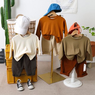 พร้อมส่ง ขายดี เสื้อยืดคอกลม แขนยาว สีพื้น สไตล์เกาหลี ญี่ปุ่น ฤดูใบไม้ร่วง สําหรับเด็กผู้ชาย ผู้หญิง T2023