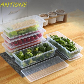Antione กล่องพลาสติกใส ทรงสี่เหลี่ยม พร้อมฝาปิด สําหรับเก็บผัก ผลไม้ ในตู้เย็น