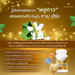 ภาพขนาดย่อของภาพหน้าปกสินค้าCHAME HERB FINGER ROOT PLUS กระชายขาว สมุนไพรไทย เสริมสร้างภูมิต้านทาน กระตุ้นการสร้างภูมิคุ้มกัน ให้กับร่างกายแข็งแรง จากร้าน chame_official บน Shopee ภาพที่ 5