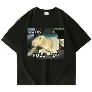 ขายใหม่ เสื้อยืดลําลอง แขนสั้น พิมพ์ลาย Capybara Meme Funny StreetCar สไตล์วินเทจ แฟชั่นสําหรับสตรี（S-5XL）