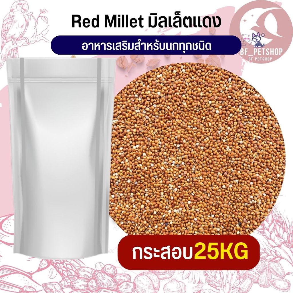 red-millet-มิลเล็ตแดง-อาหารนก-กระต่าย-หนู-กระต่าย-กระรอก-ชูก้า-และสัตว์ฟันแทะ-สินค้าใหม่ทุกกระสอบ-กระสอบ-25kg