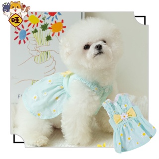 【รักมากมาย】เสื้อหมา   เสื้อแมว  ชุดเดรสกระโปรง ลายดอกเดซี่ สีฟ้า ขนาดเล็ก สําหรับสัตว์เลี้ยง สุนัข แมว