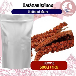 มิลเล็ต สเปรย์แดง Red Millet Spray อาหารนก กระต่าย หนู ชูก้า และสัตว์ฟันแทะ สินค้าสดใหม่ทุกชิ้น (แบ่งขาย 500G / 1KG)