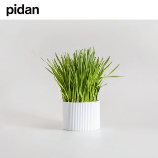 Pidan Miracle Care Cat-About Cat Grass สําหรับแมวในร่ม [ชุดหญ้าแมวเติบโตง่าย] ชุดหญ้าแมวประกอบด้วยการผสมกระถางเมล็ดพันธุ์และภาชนะบรรจุ