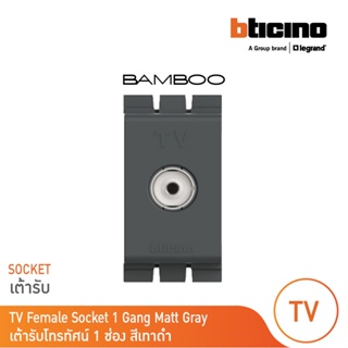 BTicino เต้ารับทีวี (แบบขนาน) 1ช่อง แบมบู สีเทาดำ TV Female Socket 1 Module GRAY รุ่น Bamboo | AE2152DGR | BTicino