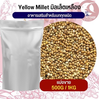 มิลเล็ตเหลือง millet yellow  อาหารนก หนู (แบ่งขาย 500G / 1KG)