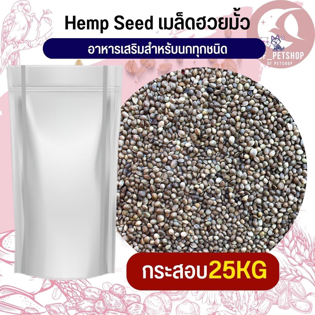 ฮวยมั๊ว-hempseed-อาหารนก-กระต่าย-หนู-กระต่าย-กระรอก-ชูก้า-และสัตว์ฟันแทะ-สินค้าใหม่ทุกกระสอบ-กระสอบ-25kg