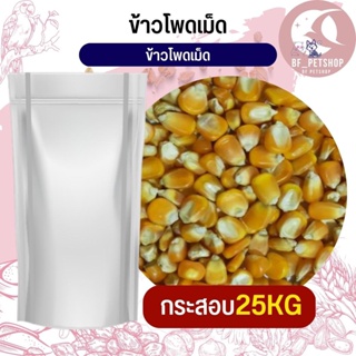 ข้าวโพดเม็ด corn kernels อาหารนก กระต่าย หนู กระต่าย กระรอก ชูก้า และสัตว์ฟันแทะ สินค้าใหม่ทุกกระสอบ (กระสอบ 25KG)