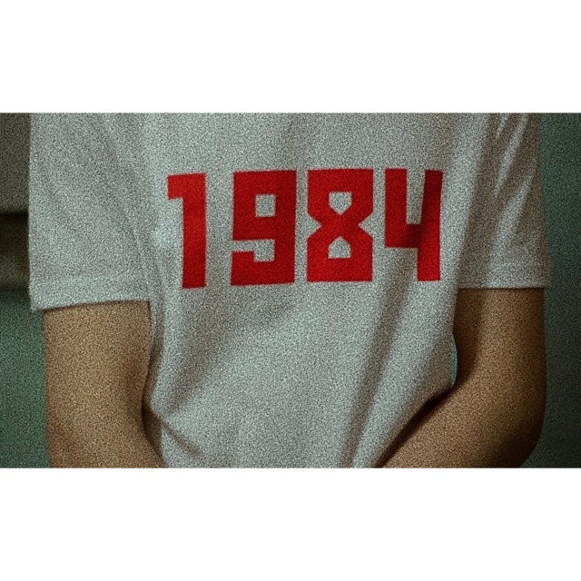 1984-tumblr-shirt-03