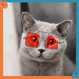 ใหม่ แว่นตาฟาง อุปกรณ์เสริม สําหรับสัตว์เลี้ยง สุนัข แมว