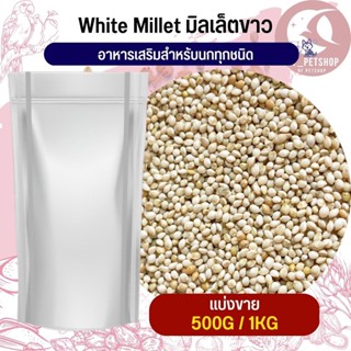 White millet มิลเล็ตขาว อาหารนก กระต่าย หนู กระต่าย กระรอก ชูก้า และสัตว์ฟันแทะ สินค้าสดใหม่ทุกชิ้น (แบ่งขาย 500G / 1KG)