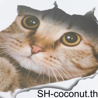 สติกเกอร์ ลายการ์ตูนแมวน่ารัก 3D สําหรับติดตกแต่งผนังห้องน้ํา 21x2 NE