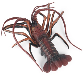 ❤การขายส่งโรงงานอุตสาหกรรม❤การจำลองสัตว์ทะเลกุ้งก้ามกรามรุ่น solid Australian lobster เด็กความรู้ความเข้าใจสัตว์ของเล่นตกแต่งตกแต่งทำมือเดสก์ท็อปตกแต่งตกแต่งวิทยาศาสตร์และการศึกษาของเล่นรูปแบบความรู้ความเข้าใจ