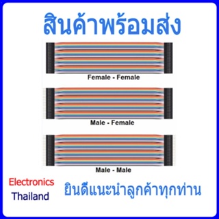 Jumper Wires สายจัมป์ 20cm / 40 เส้น (พร้อมส่งในไทย)