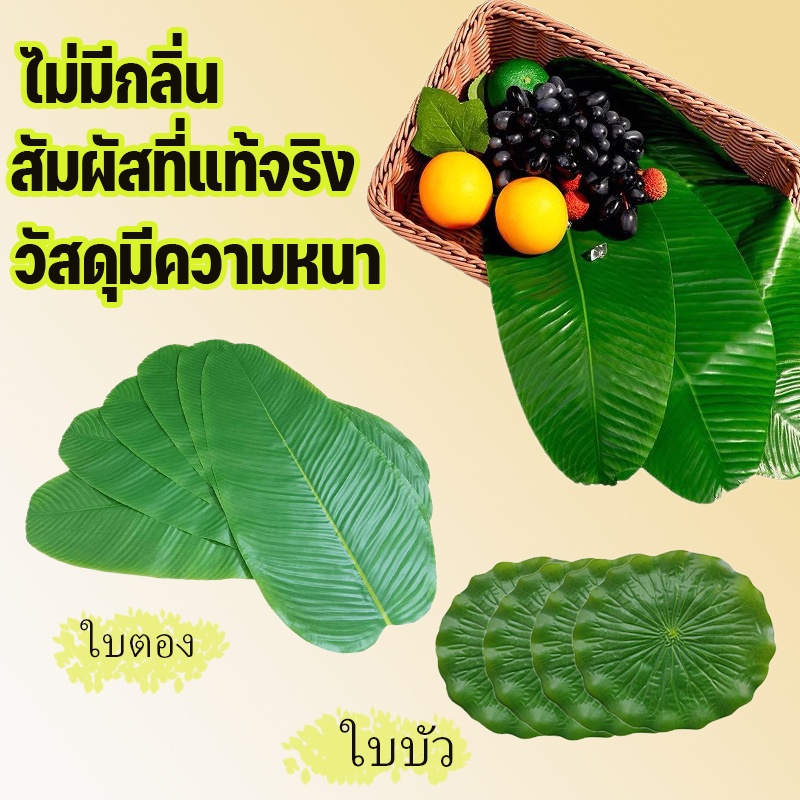 พร้อมจัดส่ง-ใบตองปลอม-ใบตองเทียม-ใบกล้วยจำลอง-สด-ใบตองพลาสติก-banana-leaf