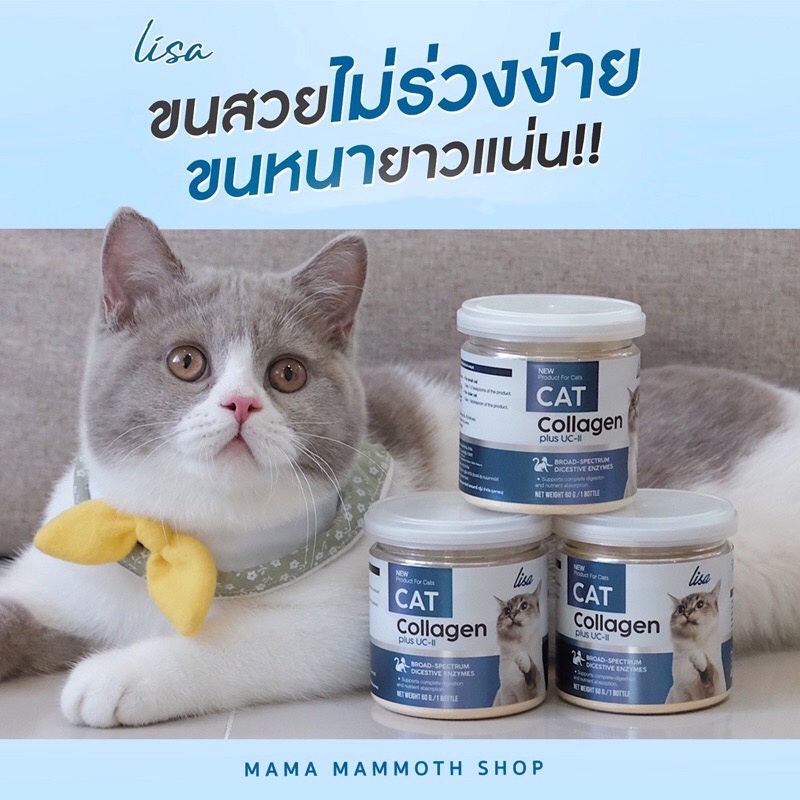 พร้อมส่ง-ผงโรยอาหารแมว-lisa-cat-collagen-หยุดขนร่วง-เพิ่มกล้ามเนื้อ-เสริมภูมิคุ้มกัน-สวนผสมจากผงไข่เต่า-วิตามินบีรวม