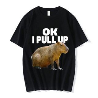 เสื้อยืดลําลอง ผ้าฝ้าย 100% แขนสั้น พิมพ์ลายกราฟฟิค Ok I Pull Up Capybara ทรงหลวม สไตล์ฮาราจูกุ แฟชั่นสําหรับผู้ชาย และผ