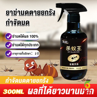 Chokchaistore สเปย์กำจัดมด ตายยกรัง ยากำจัดมดภายในบ้าน กำจัดแมลง  Pest Control