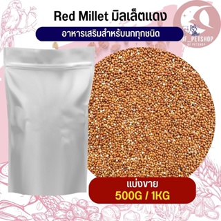 Red Millet  มิลเล็ตแดงสำหรับนก สัตว์ฟันแทะขนาดเล็ก  (แบ่งขาย 500G / 1KG)