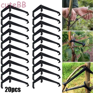 20pcs Branch Presser Puller The Fruit Branch Spreader Forms Stronge/Branches