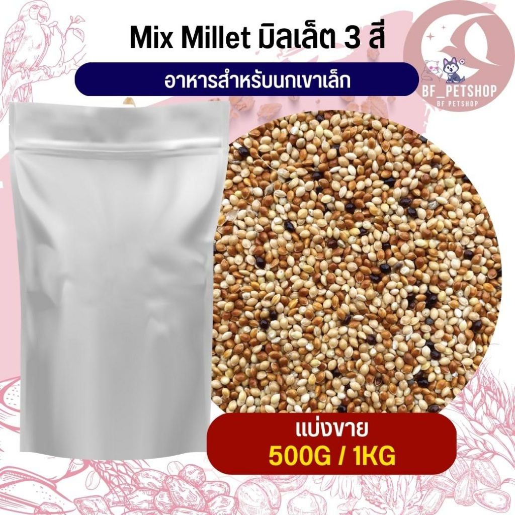 millet-mix-มิลเล็ต-5-สี-เขาเล็ก-อาหารนก-แบ่งขาย-500g-1kg