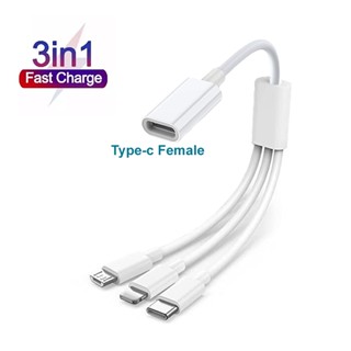 สายชาร์จ Type-C ตัวเมีย เป็น Type-C ชาร์จเร็ว 3in1 Micro USB Type-C สายชาร์จข้อมูล สําหรับ iPhone 14 13 Samsung Xiaomi Huawei