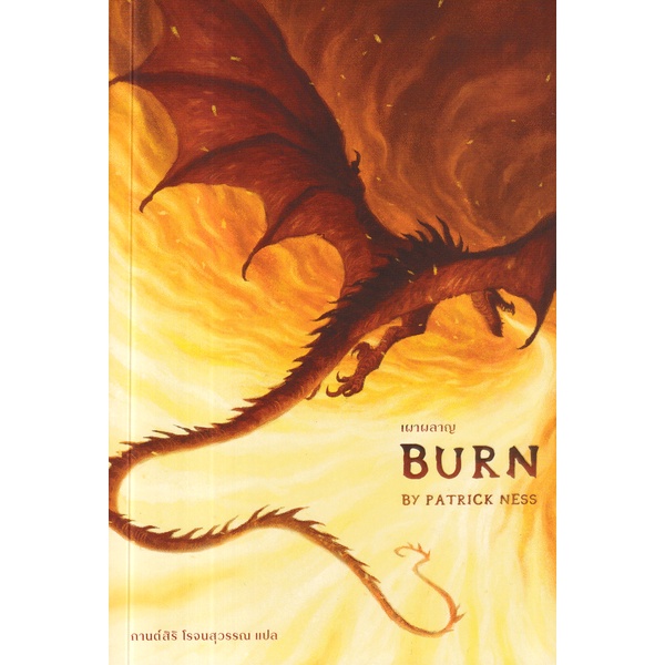 arnplern-หนังสือ-เผาผลาญ-burn