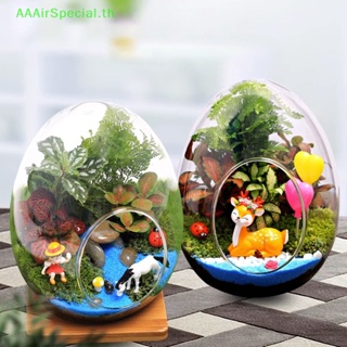 Aaairspecial แจกันแก้ว รูปไข่ สร้างสรรค์ สําหรับตกแต่งบ้าน สวนขวด