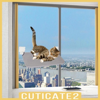 [Cuticate2] ที่นอนแมว ระบายอากาศ ซักล้างได้ ขนาดใหญ่ สําหรับติดผนัง