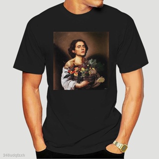 【Hot】♨◊✘Timothee Chalamet Painting Meme Mens Black Tees T-Shirt Clothing New Brand-Clothing T Shirts top tee